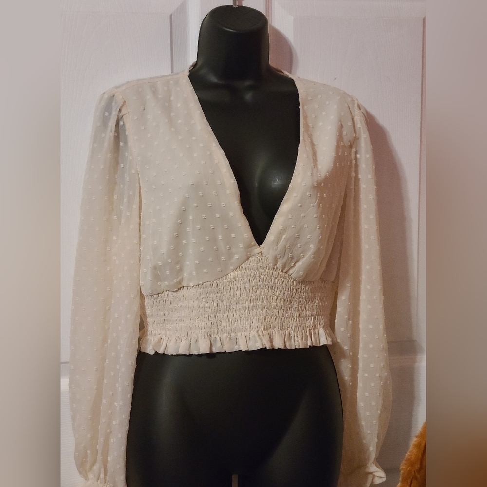 Lace Ruffle Sheer V-neck Blouse